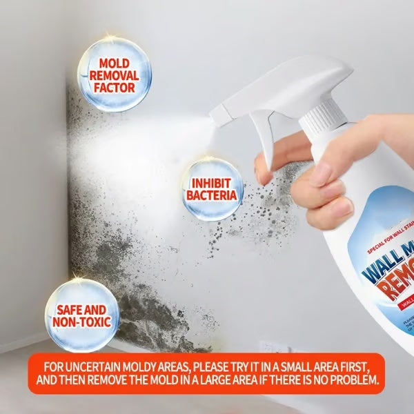 💥 Hot Sale 💥 Prevents Mould Regrowth