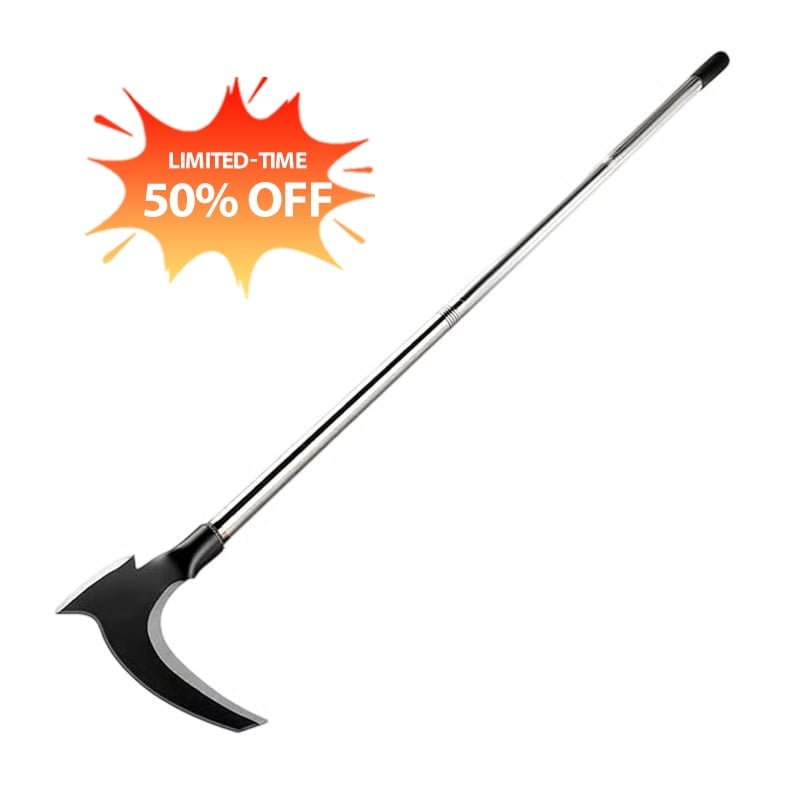 🔥 Hot Sale 50% OFF 🔥