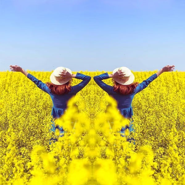 🔥HOT SALE🔥Smartphone Camera Mirror Reflection Clip Kit