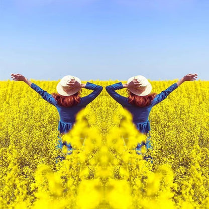 🔥HOT SALE🔥Smartphone Camera Mirror Reflection Clip Kit