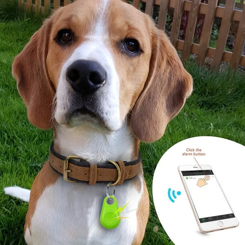 ⏰ Today's Specials 🐱 Bluetooth and GPS Pet Wireless Tracker