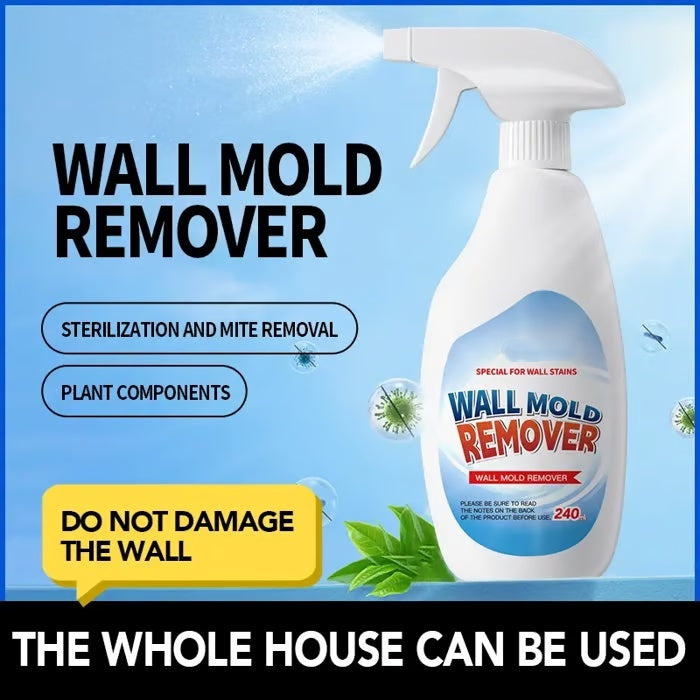 💥 Hot Sale 💥 Prevents Mould Regrowth