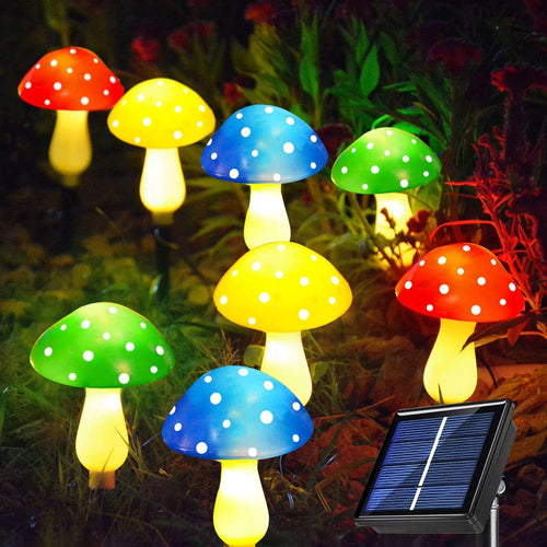 🔥 Hot Sale 50% OFF 🔥