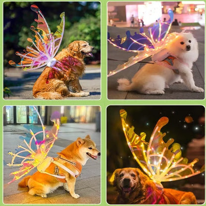 ⏰ Today's Specials ✨ LED fairy wings