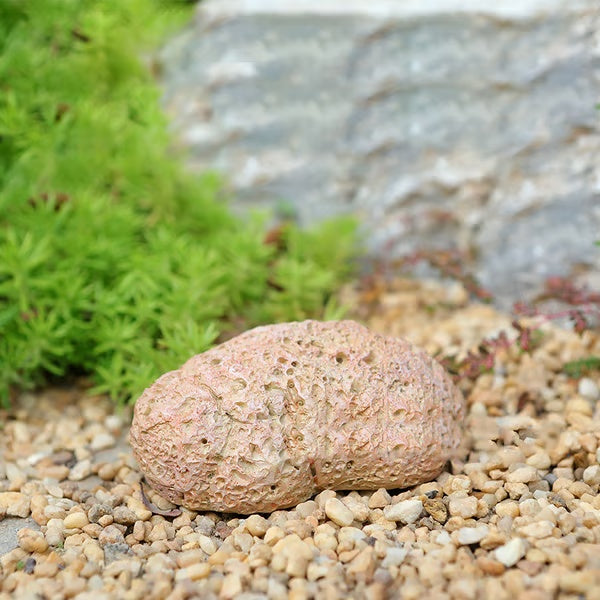 ⏰ Super Discount 🔑🏡 Stone Key Storage