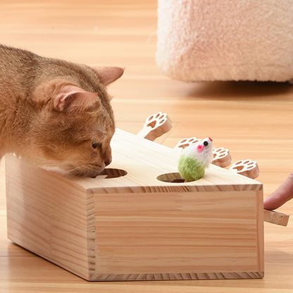 🐾 5-Hole Puzzle Play Toy for Cats