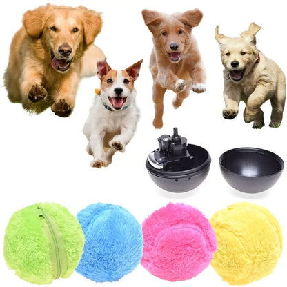⏰ Today's Specials 🐾 Pet Energy Ball