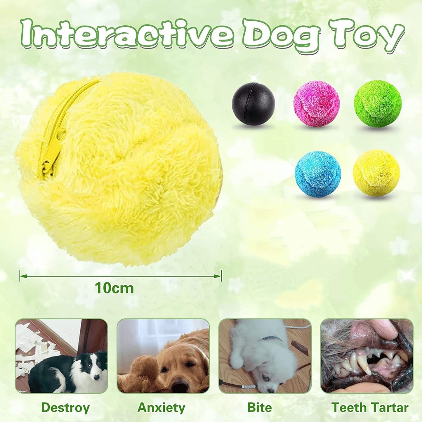 ⏰ Today's Specials 🐾 Pet Energy Ball