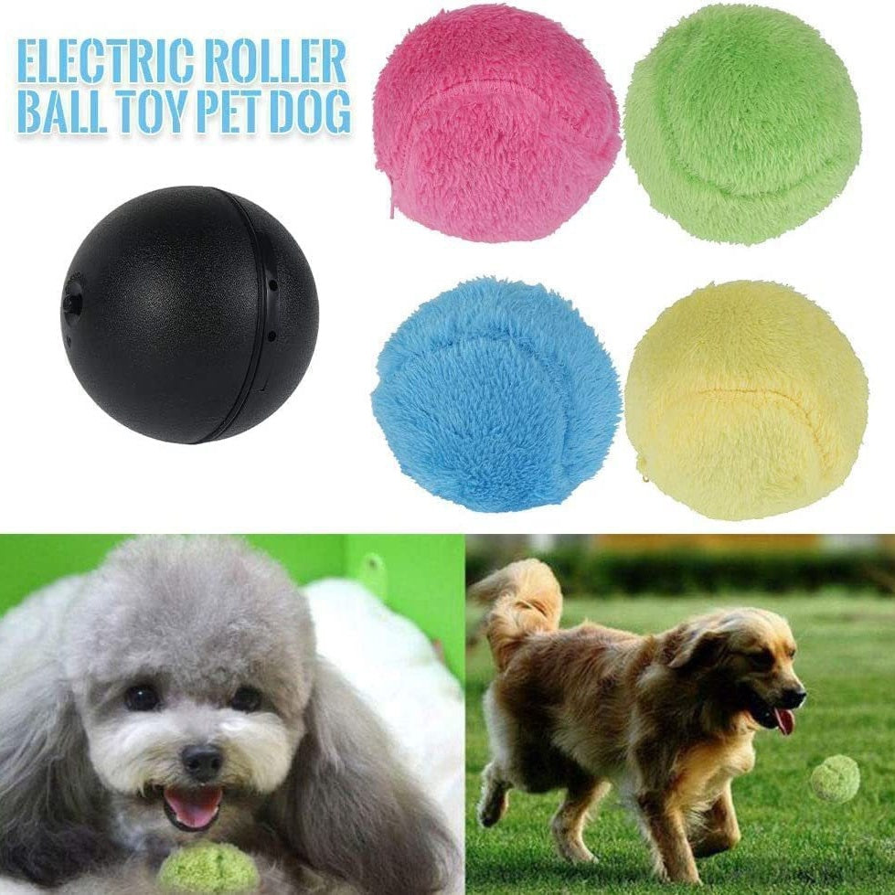 ⏰ Today's Specials 🐾 Pet Energy Ball