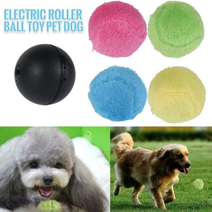 ⏰ Today's Specials 🐾 Pet Energy Ball