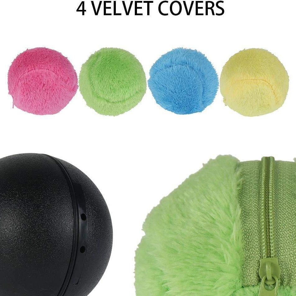 ⏰ Today's Specials 🐾 Pet Energy Ball