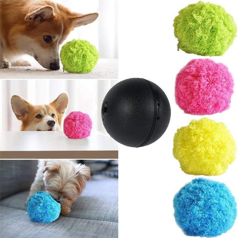 ⏰ Today's Specials 🐾 Pet Energy Ball