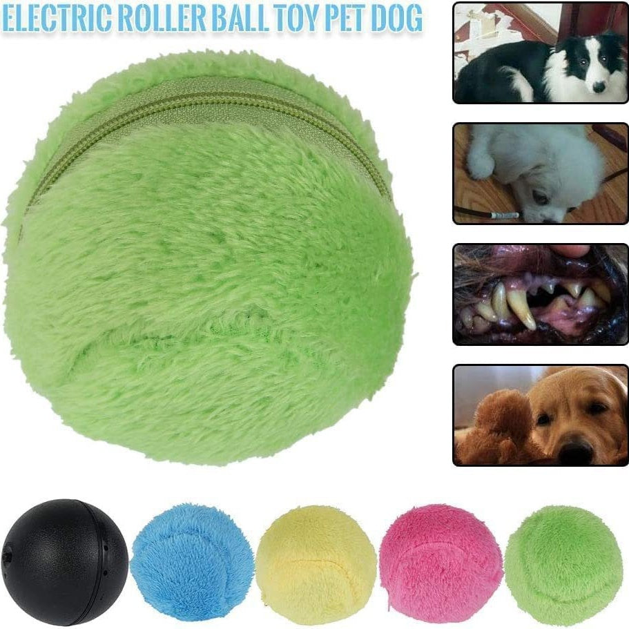 ⏰ Today's Specials 🐾 Pet Energy Ball