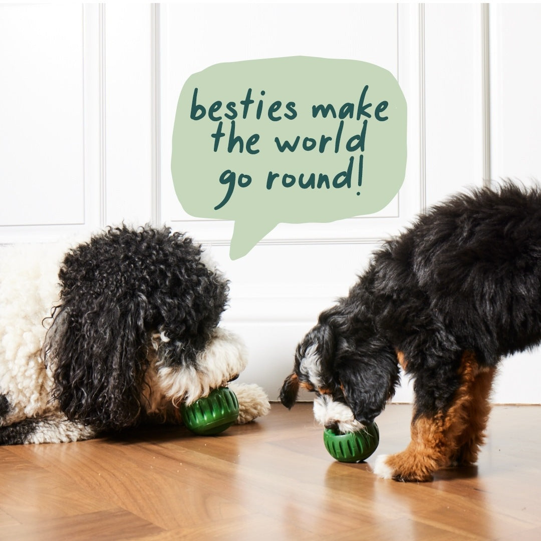 🐶 LAST DAY 50%OFF 🐾 Silicone chew toy ball tray for dogs