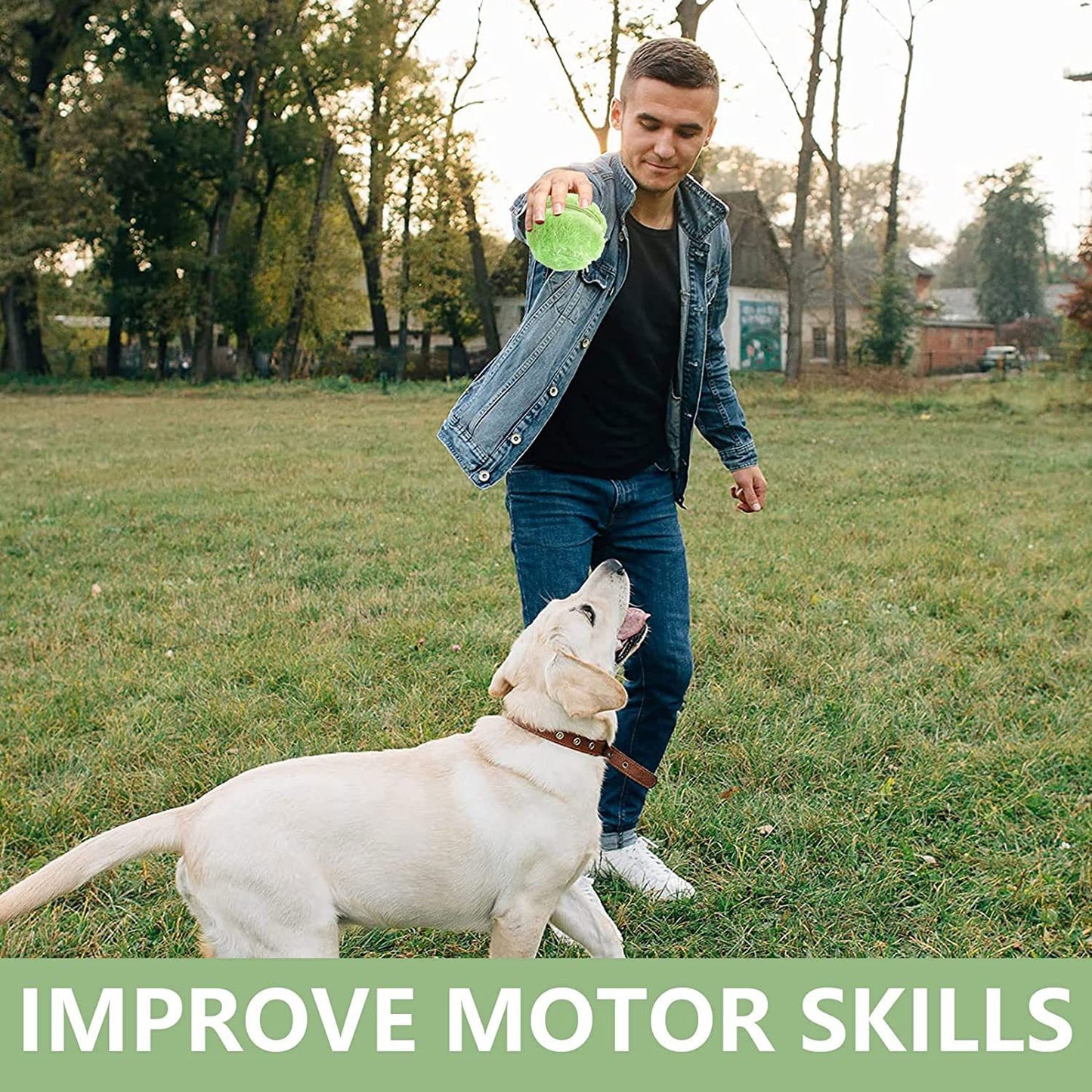 ⏰ Today's Specials 🐾 Pet Energy Ball