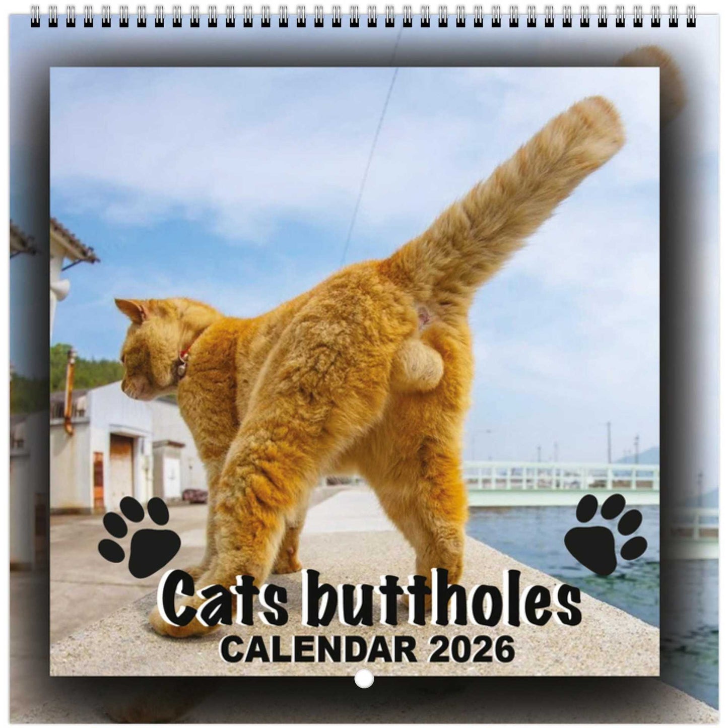 🌟 Wall Calendar 2026 📆 Offensively Cute & Unapologetically Fun! 🌞