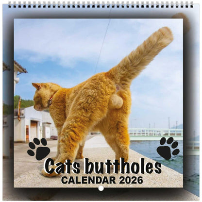 🌟 Wall Calendar 2026 📆 Offensively Cute & Unapologetically Fun! 🌞