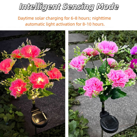 🌸 Today's Specials ☀️ Solar-Powered Laura Carnation Light