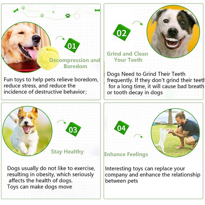 ⏰ Today's Specials 🐾 Pet Energy Ball