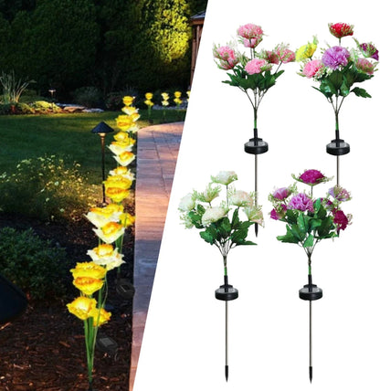 🌸 Today's Specials ☀️ Solar-Powered Laura Carnation Light