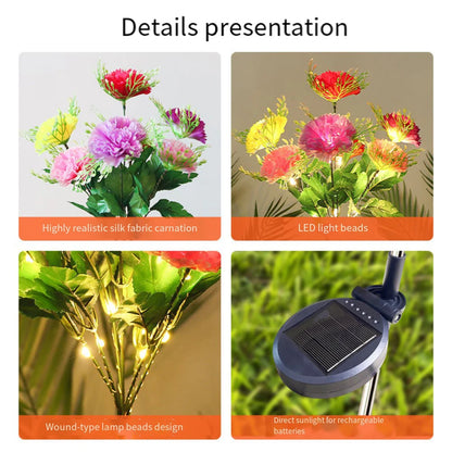 🌸 Today's Specials ☀️ Solar-Powered Laura Carnation Light