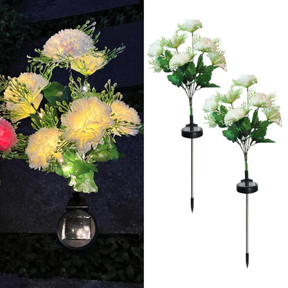 🌸 Today's Specials ☀️ Solar-Powered Laura Carnation Light