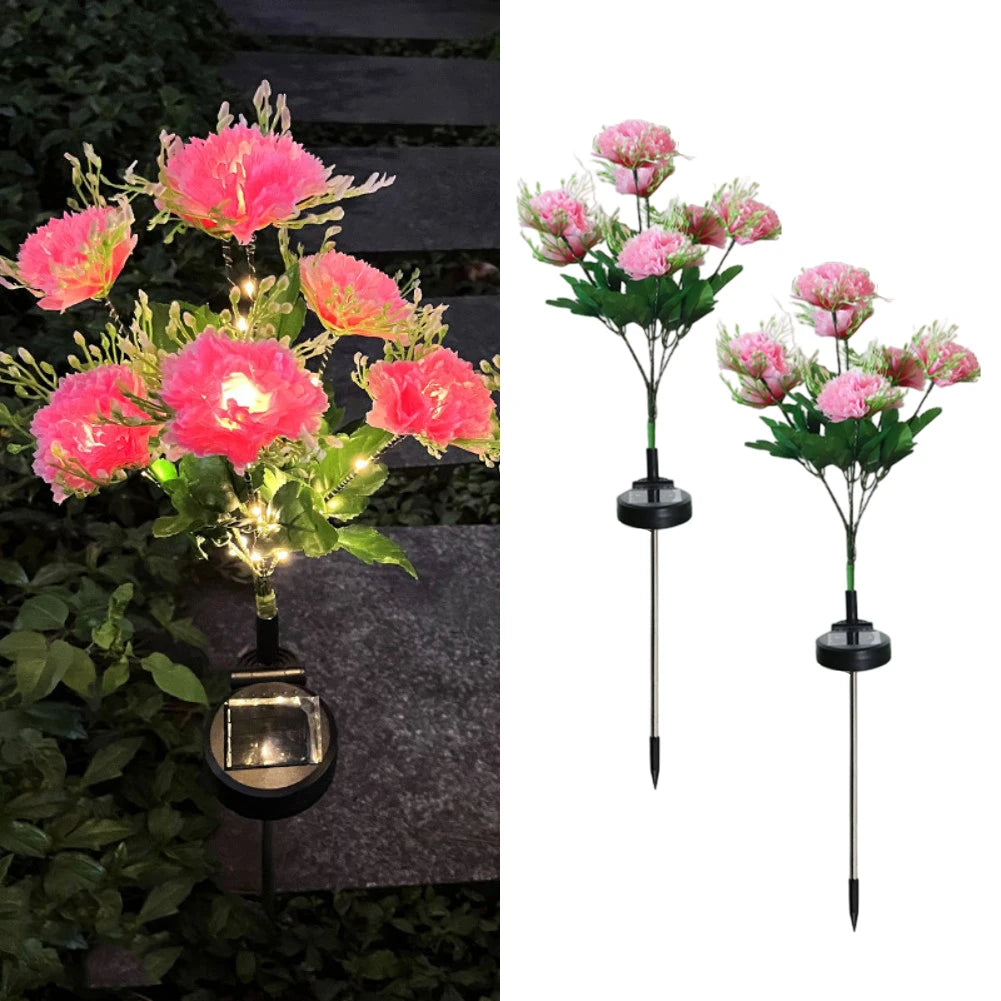 🌸 Today's Specials ☀️ Solar-Powered Laura Carnation Light