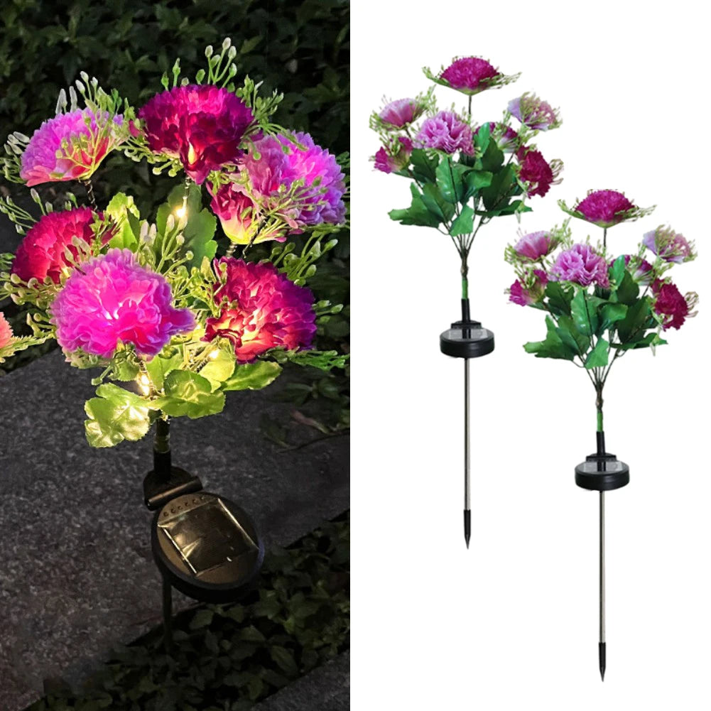🌸 Today's Specials ☀️ Solar-Powered Laura Carnation Light