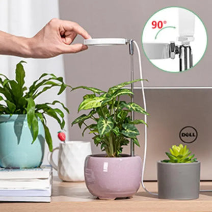🔥 Hot Sale 50% OFF 🔥